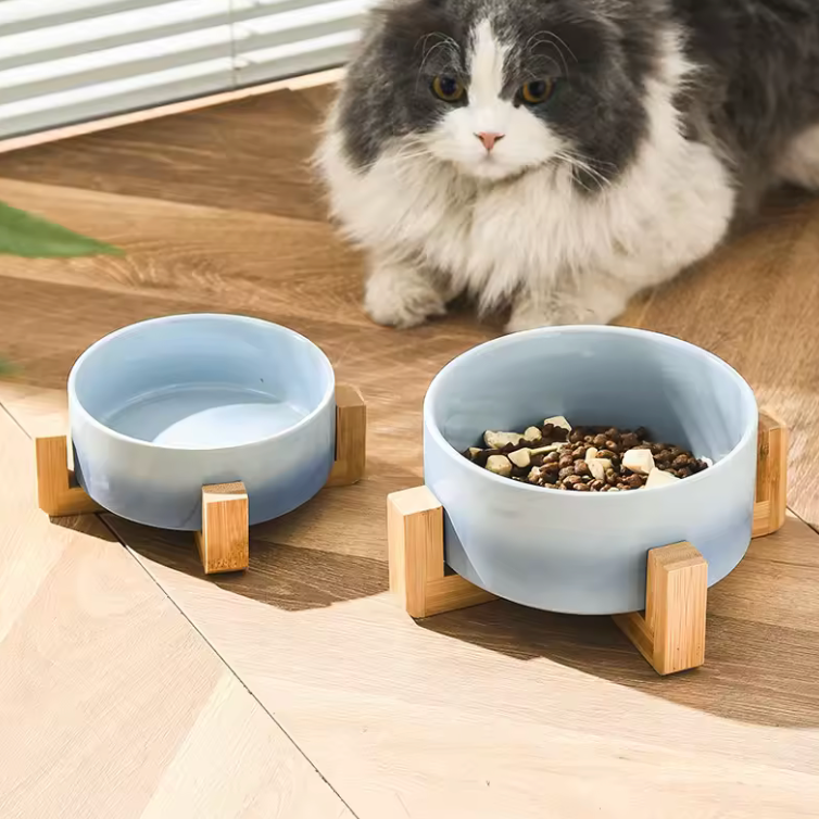 Ceramic Pet Bowl Dish with Wood Stand